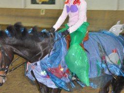 DSC_0226-2_web